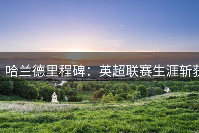 哈兰德里程碑：英超联赛生涯斩获第300粒进球